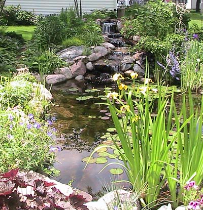 Garden 1