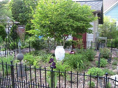 Garden 3