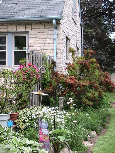 Garden 5